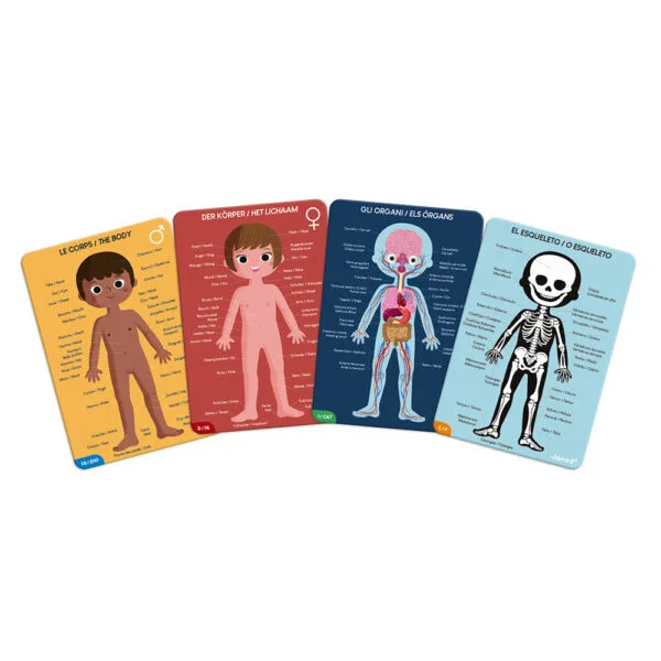 Puzzle del corpo umano Janod