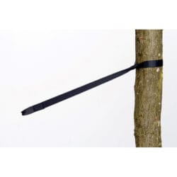 Amazonas tree hugger