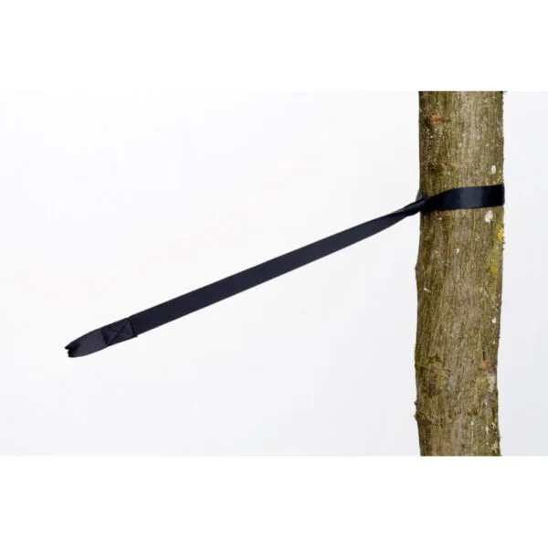 Amazonas tree hugger