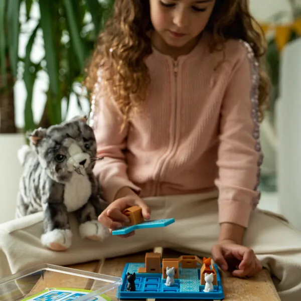 Giochi intelligenti Gattini che saltano nelle scatole