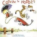 Didakta Buch Calvin und Hobbes