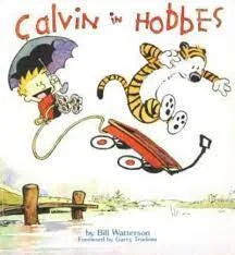 Didakta Buch Calvin und Hobbes