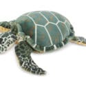 M&D Plüsch-Schildkröte