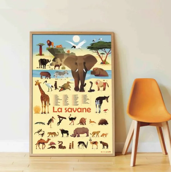 Poppik raziskovalni plakat in nalepke Savana