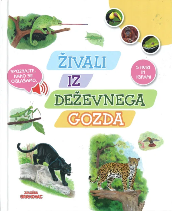 Grahovac Tiere des Regenwaldes