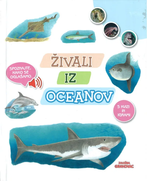 Grahovac Animali degli oceani