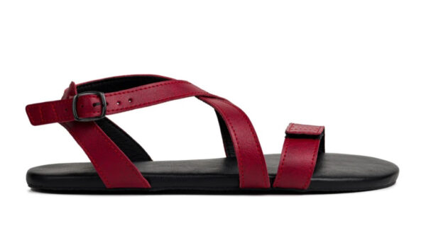 Ahinsa sandali Hava 2.0 Burgundy