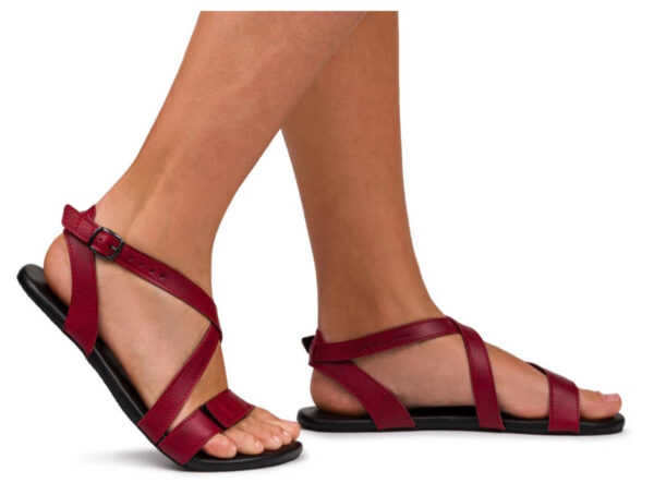 Ahinsa sandali Hava 2.0 Burgundy