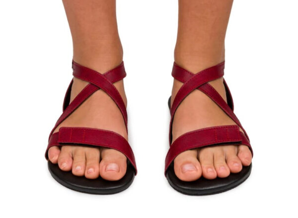 Ahinsa sandali Hava 2.0 Burgundy