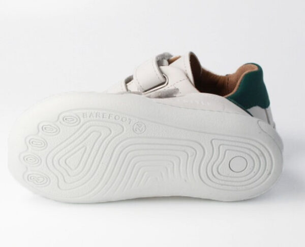 bLIFESTYLE superge Lutra petrol