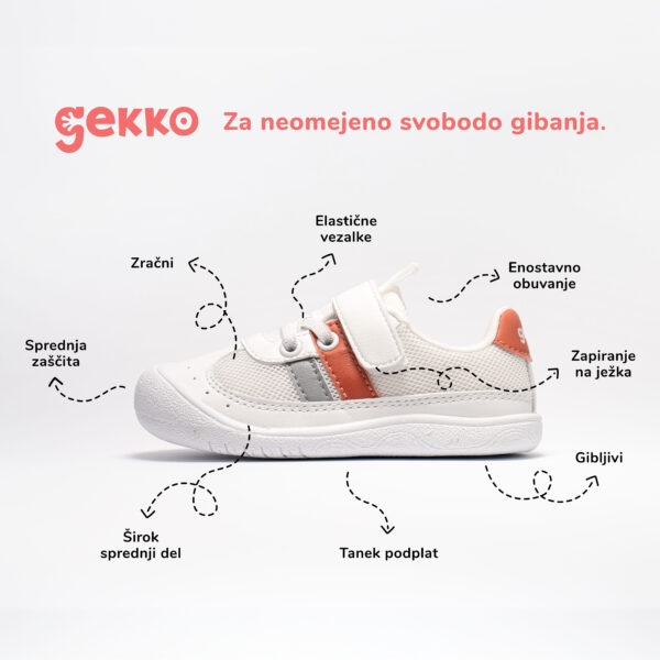 Gekko superge Coral