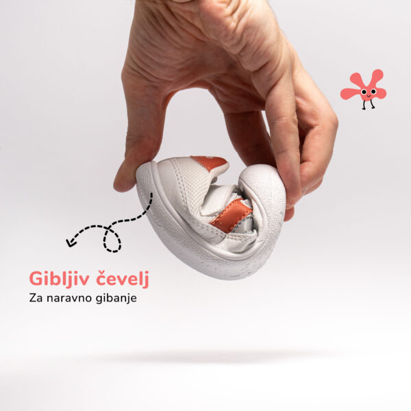 Gekko superge Coral