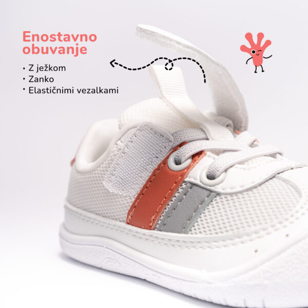Gekko superge Coral