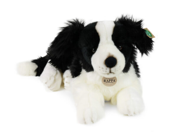Rappa the plush border collie