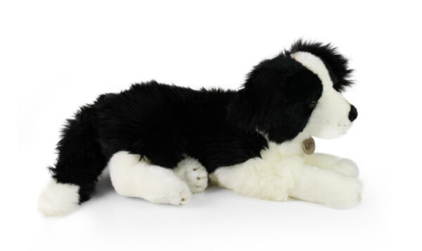Rappa the plush border collie