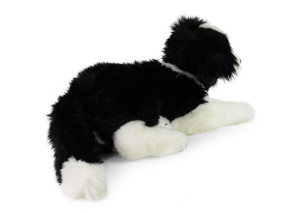 Rappa the plush border collie