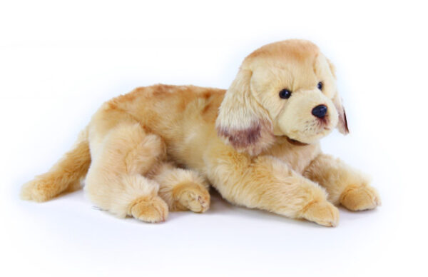 Rappa Plüsch Golden Retriever