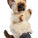 Hansa Siamkatze Handpuppe