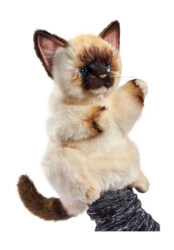 Hansa Siamkatze Handpuppe