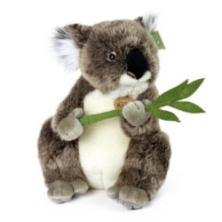 Rappa plišasta koala